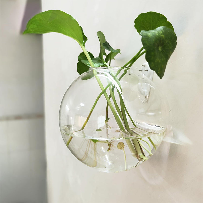 Destaque as suas plantas nas suas paredes, sem furar 